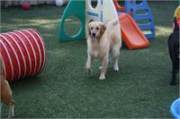daycare pic 84 - play time
